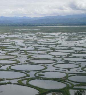 Loktak Lake